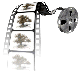 cine 1